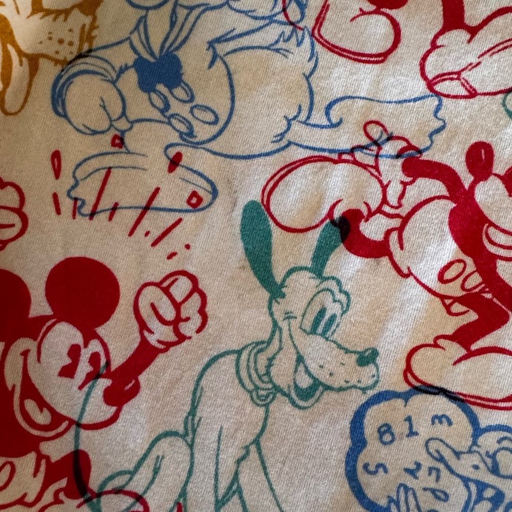 Disney Rags to Raches - Picture 2 of 2